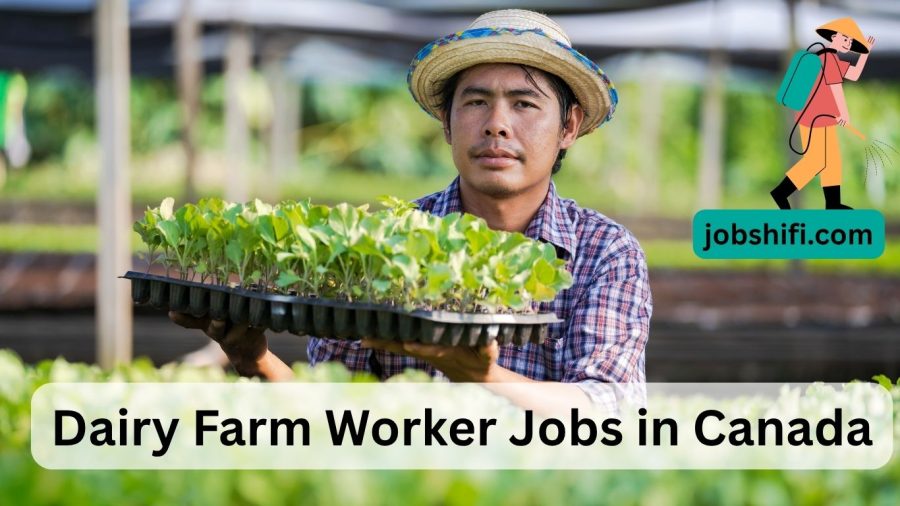 Dairy Farm Worker in Abbotsford, BC